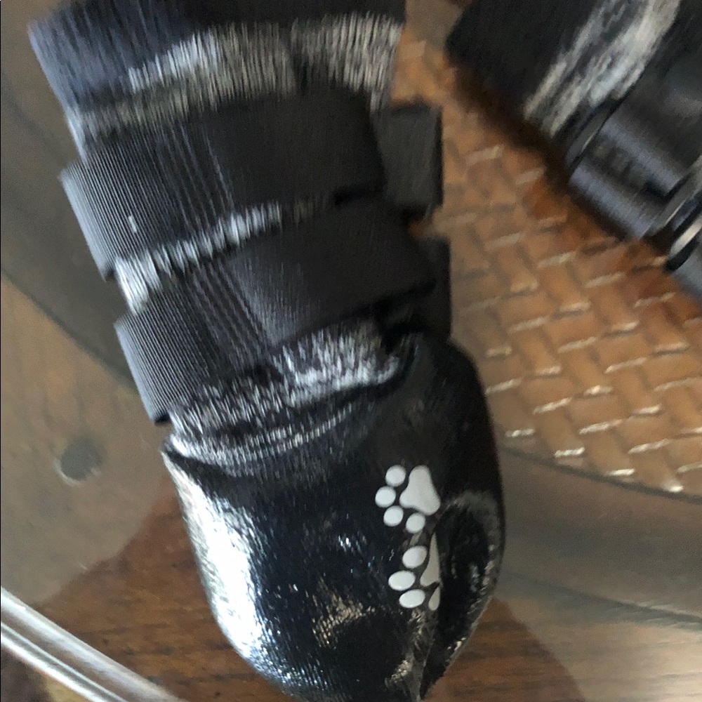 Black Dog Waterproof Paw Print Booties - Picture 3 of 3